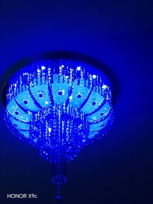 Lustra blutusli pluti bor!