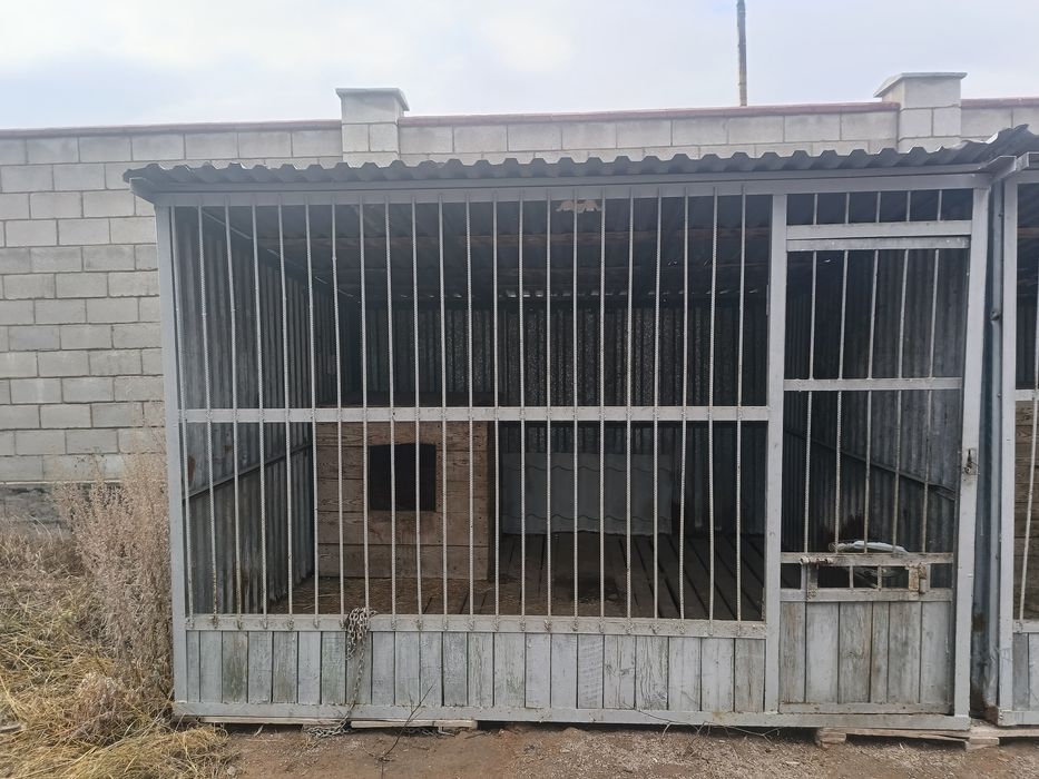 Вольер для собаки
