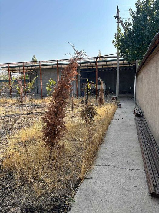 Продается дача Таваксай 13 соток цена 75,000$