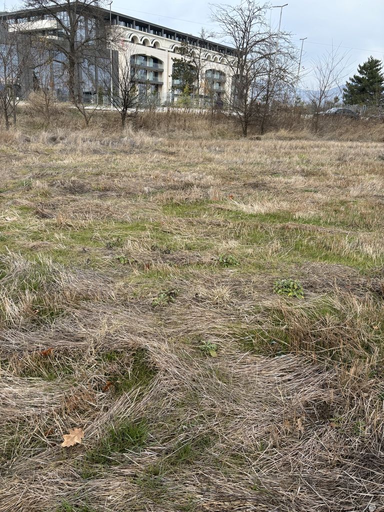 Продава се Парцел в с. Овощник, Област Стара Загора - 5000 кв.м за 50 €/кв.м - Снимка #4