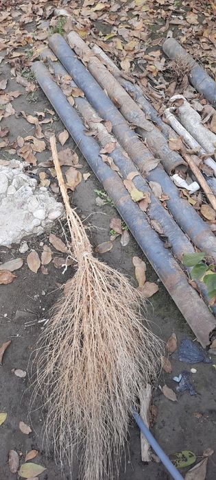 Темир металлом оламиз уйингиздан узимиз олип кетамиз