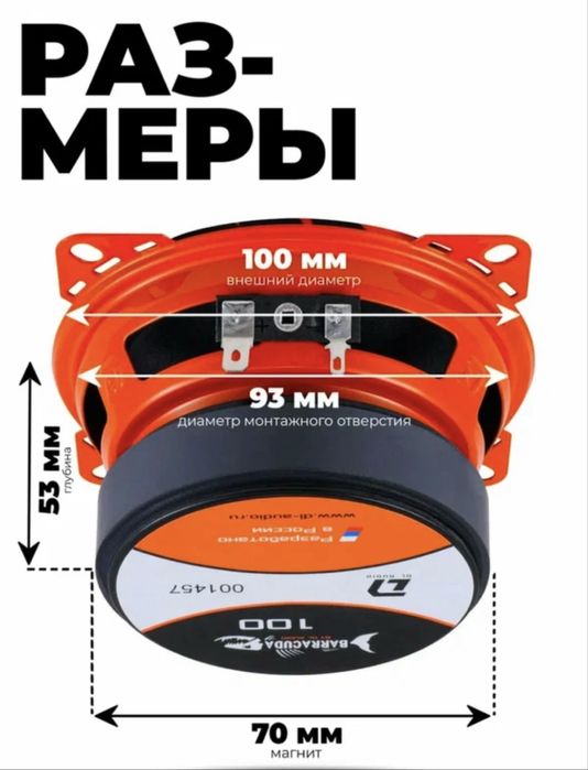 DL audio baracuda 10sm