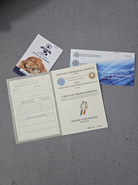 Pereche Ciobanesc elvetian pedigree tip A