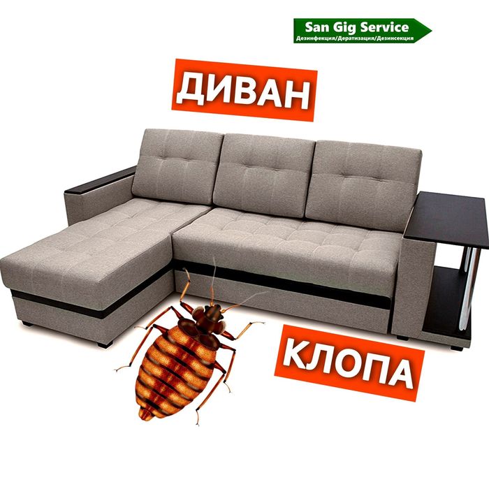 Клопы не знают, что мы едем. Сюрприз будет жёсткий