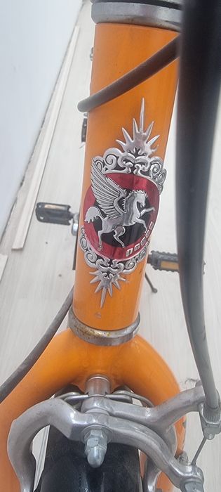 Bicicleta adulți Pegas