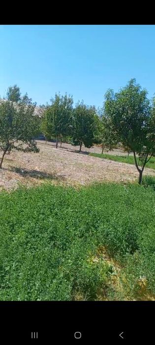 Samarqand vil ishtixon tumanida 30 sotixli hovli sotiladi 30000 $