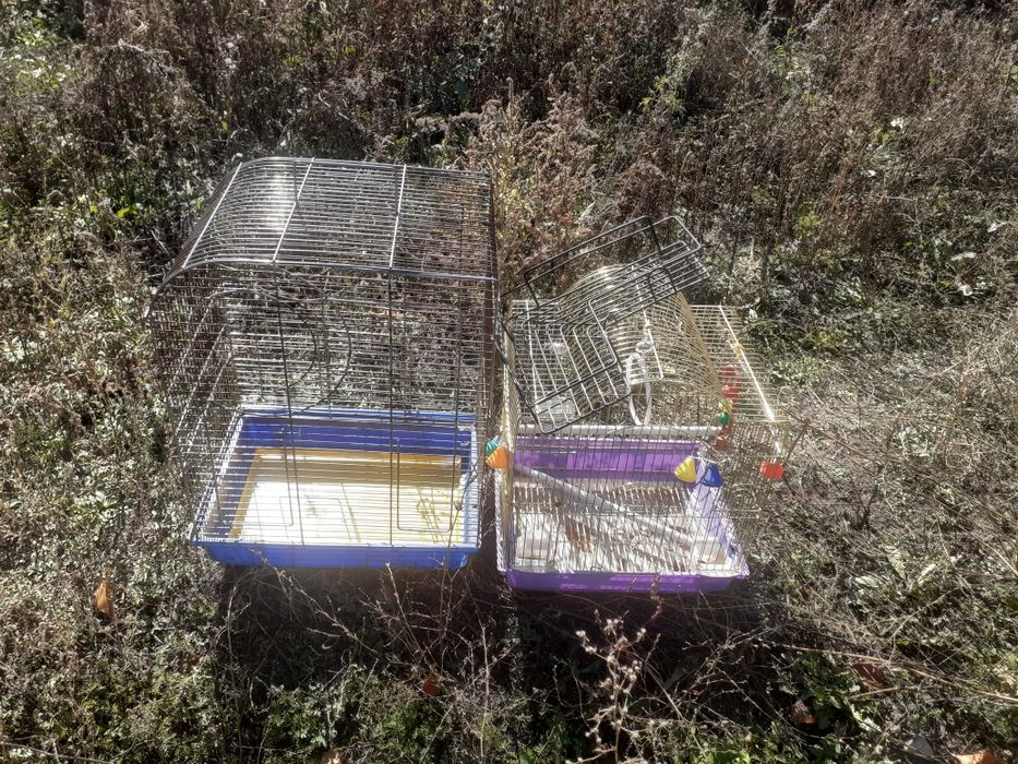 Клетки пара 2500т тюльпан 3т кабел тв 150т метр буфер 4т