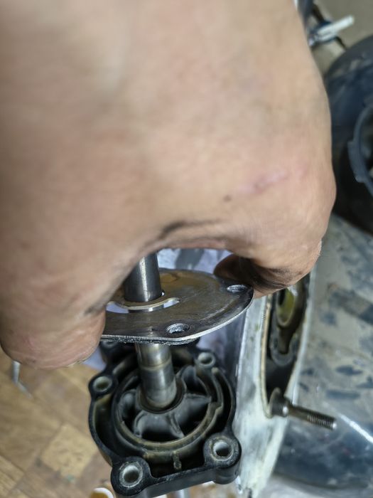 Johnson evinrude 20 35