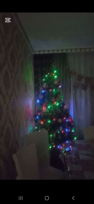 Ёлка новогодняя новая