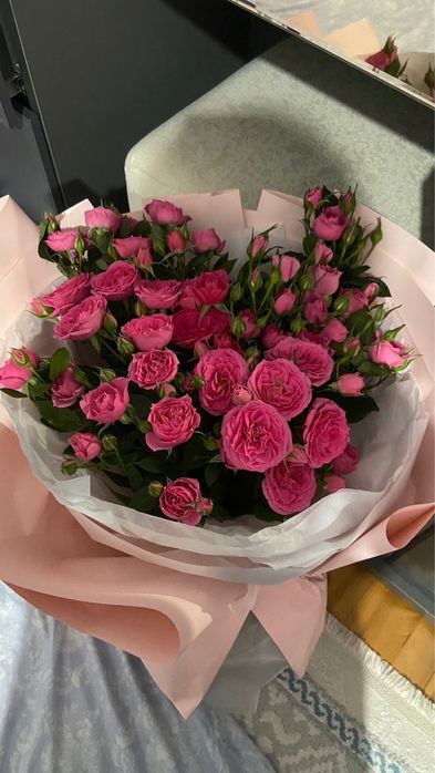 Свежий гүл бүгінгі