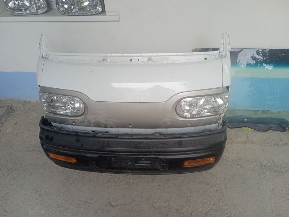 Damas morda sboriy 2024