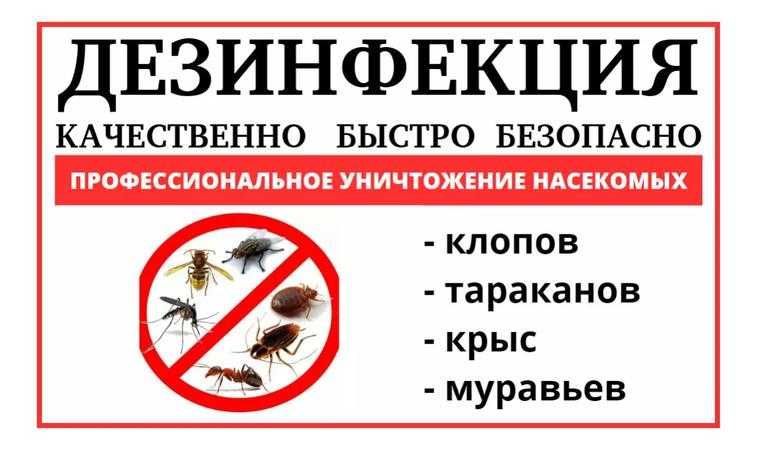 Дезинфекция, Уничтожение клопов , мышей, ,крыс тараканов