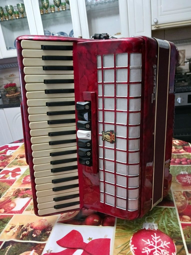 Vind acordeon parot 120 basi