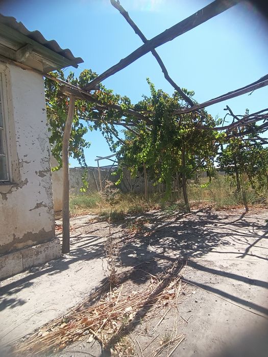 Buxoro viloyati qorakoʻl tumani mirob mahallasi