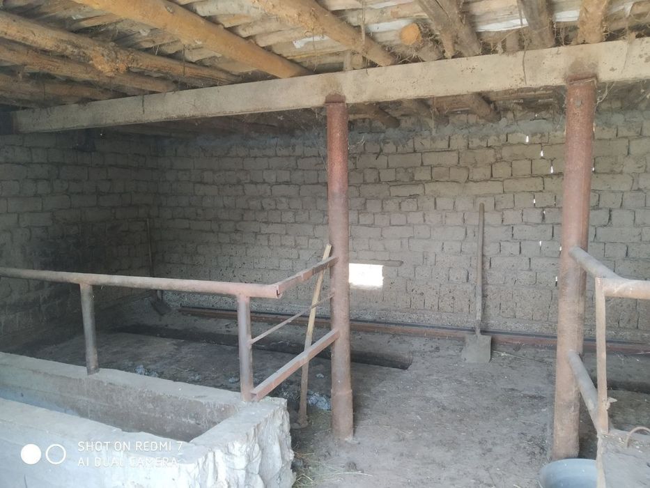 Kotta xovli sotiladi  sirdaryo tumani Sirdaryo shaxri .