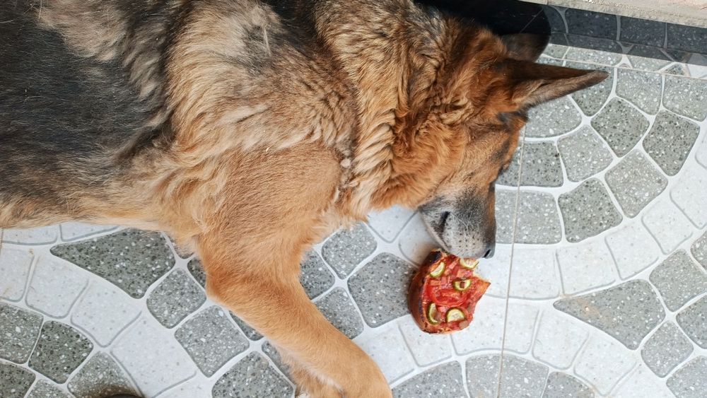 Nemis Afcharkasi sotiladi. Narxi irimiga ozgina bersayiz boldi.