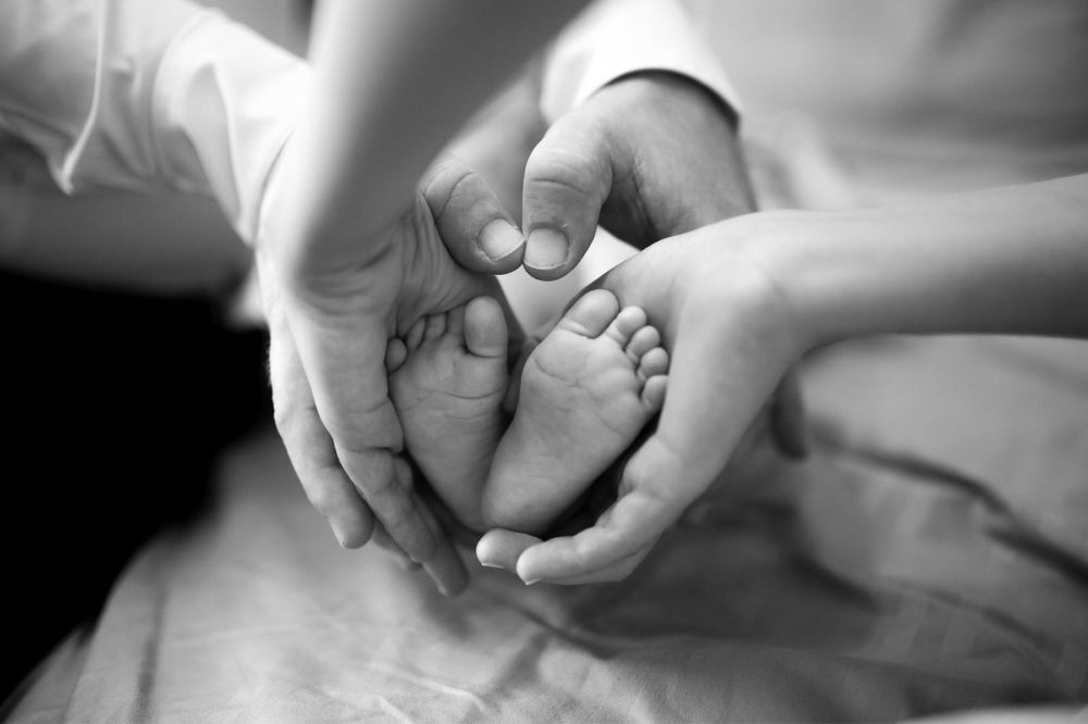 fotograf videograf nunta botez cununie majorat