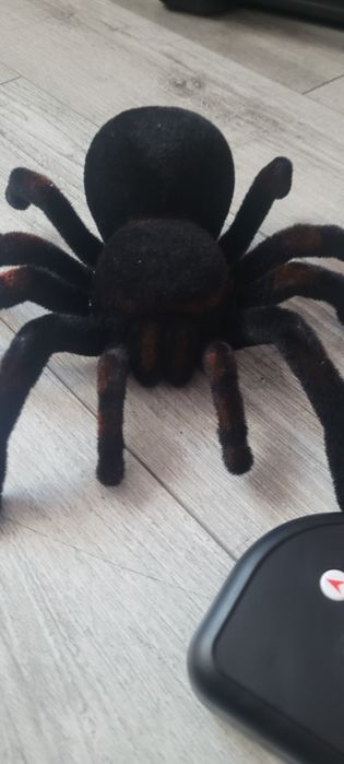 Jucarie tarantula mygale tarantula defecta