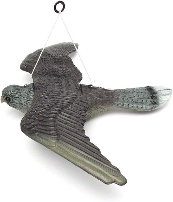 Sperietoare pasari soim in marime naturala repelent pentru porumbei