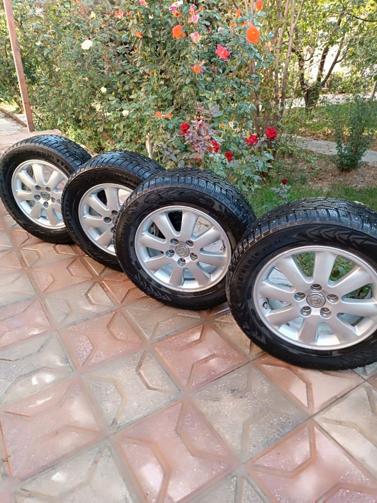 Шипованные зимние шины