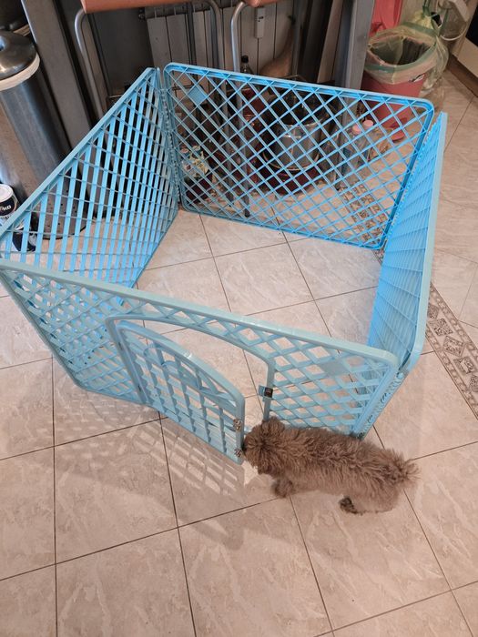 Преграда за куче