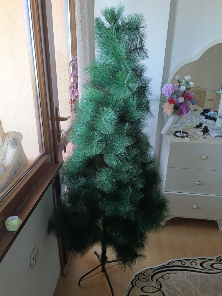 продавам елха 1.70