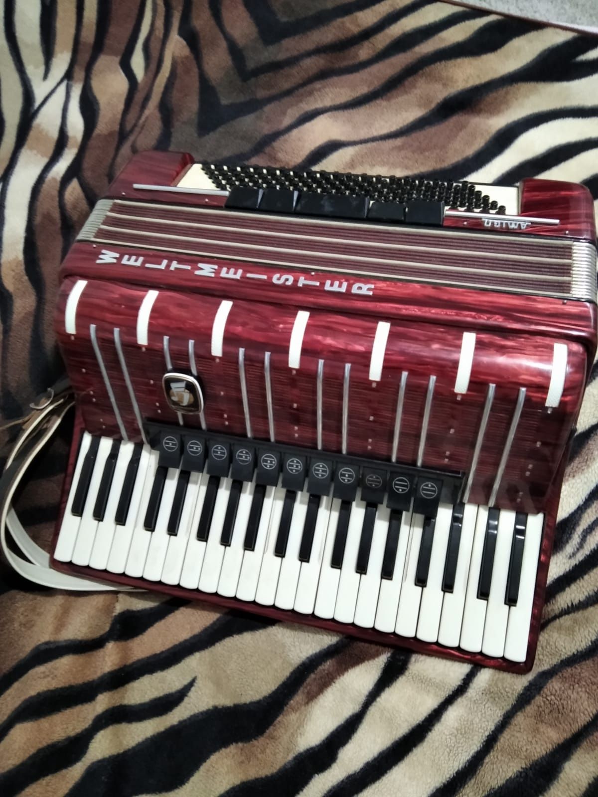 Vand/Schimb Acordeon Weltmeister Amigo 120 bași