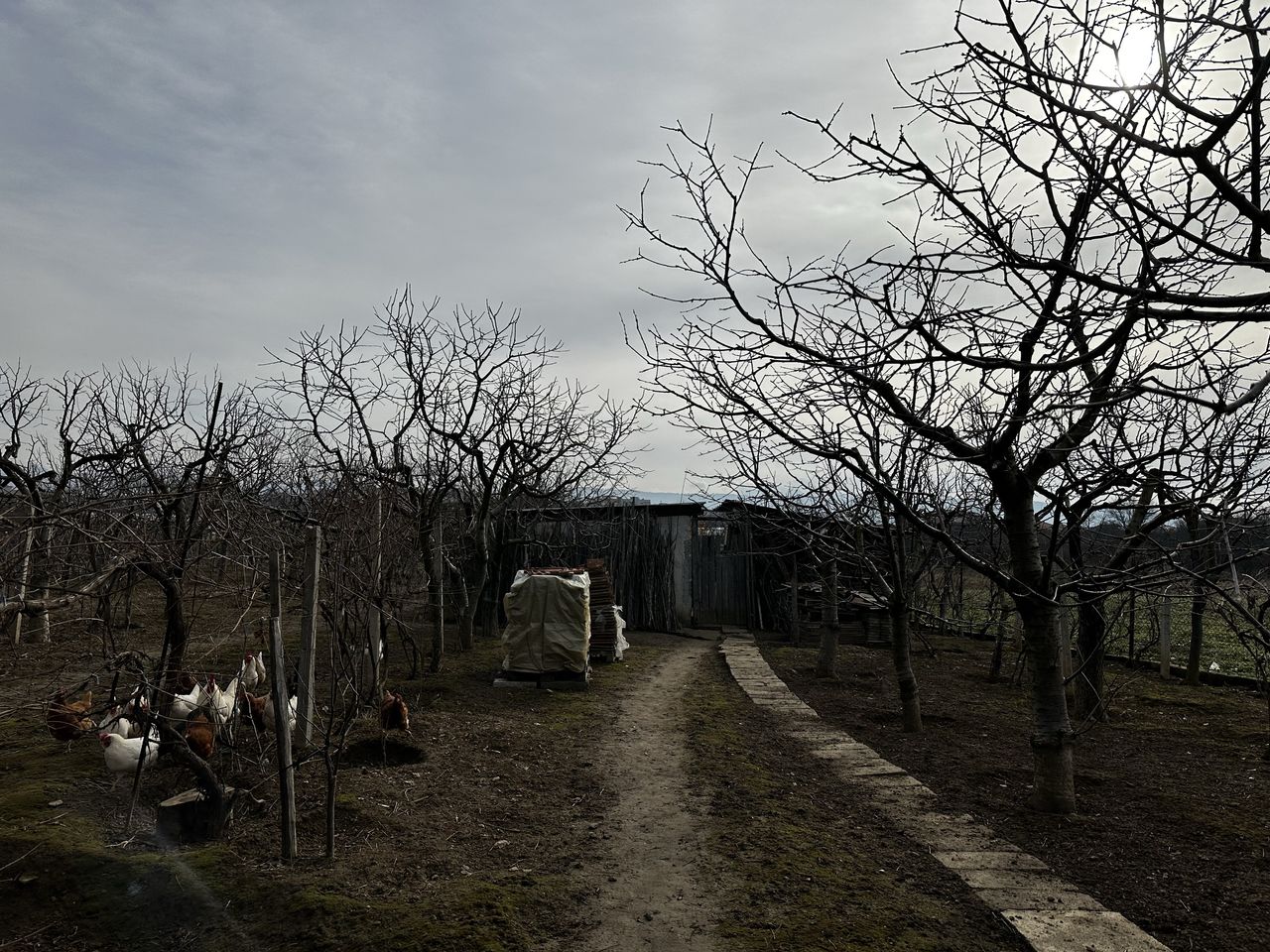 Продава се Земеделски имот в Благоевград, Струмско -  кв.м за 50000 €/дка - Снимка #3