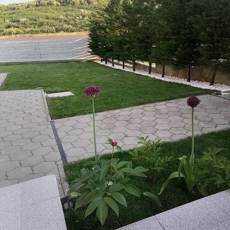 Tundem gazon, întretinere gradini,amenajări, debarasari