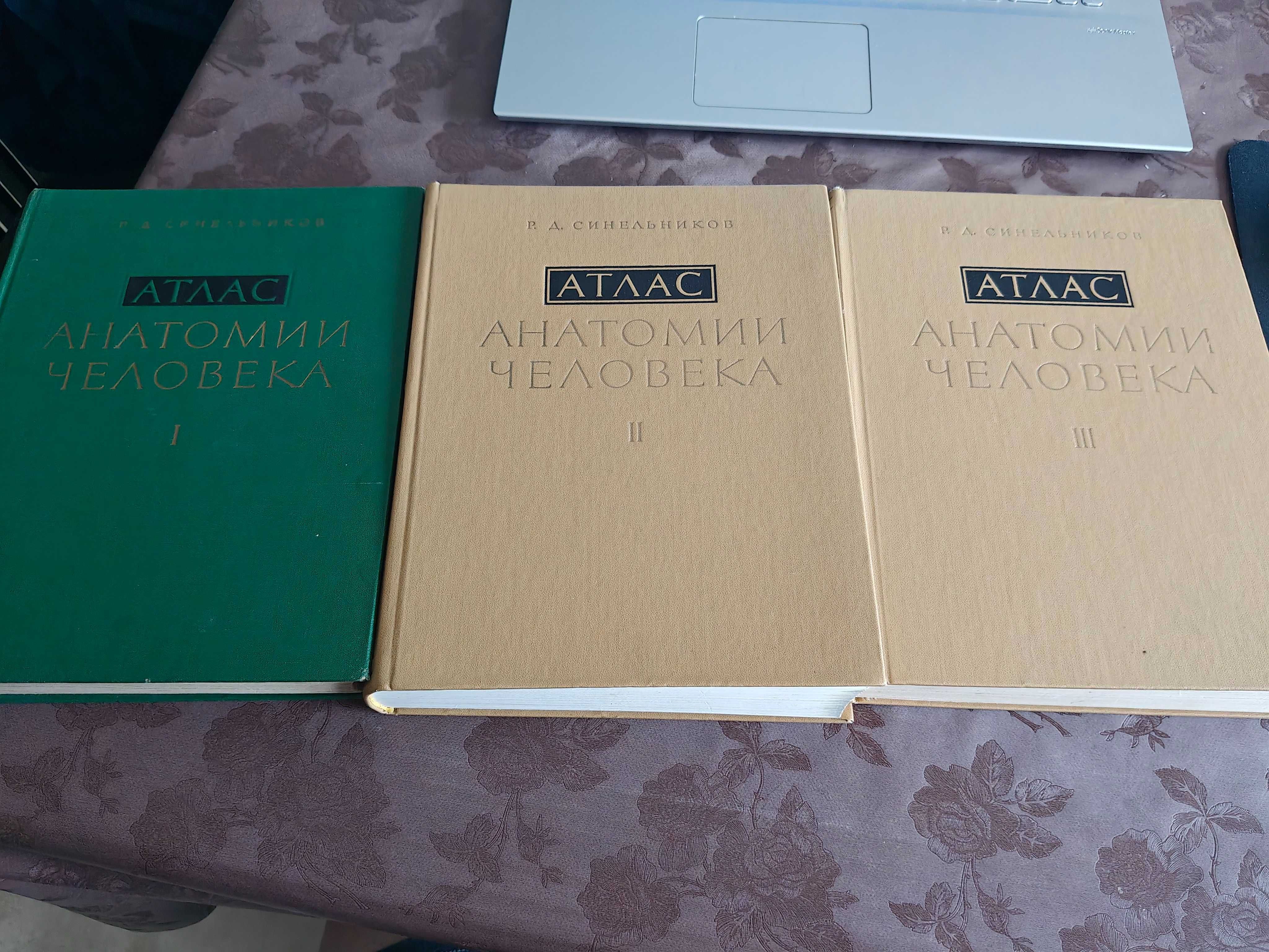 Атласи по анатомия на човека Синелников