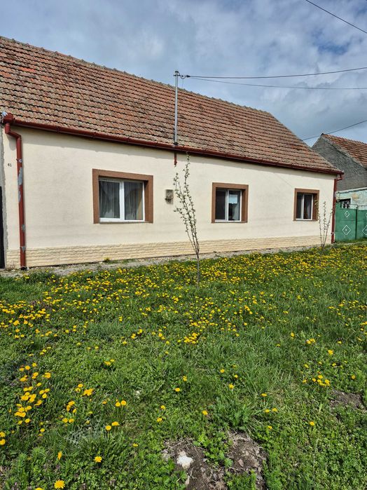 Casă de vânzare Breștea