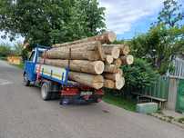 Depozit Lemn ne foc Fag