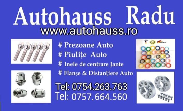 Piulite prezoane Ford Mondeo  Focus Fiesta C-Max sau Volvo jante ALIAJ