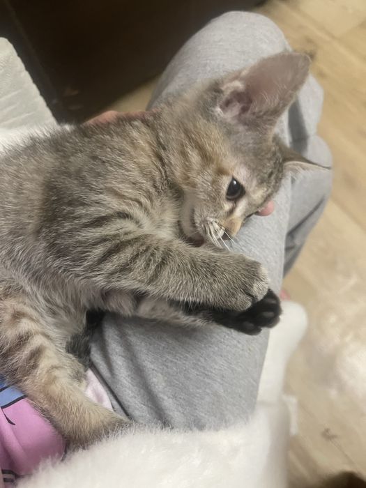 Он мальчик 1 месяц