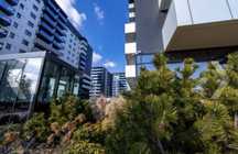 Vand studio lux Cortina North