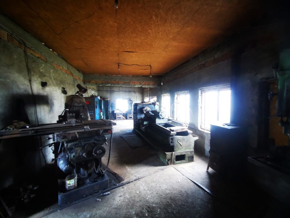 Hala + teren - Autostrada A8 - spațiu industrial și logistic