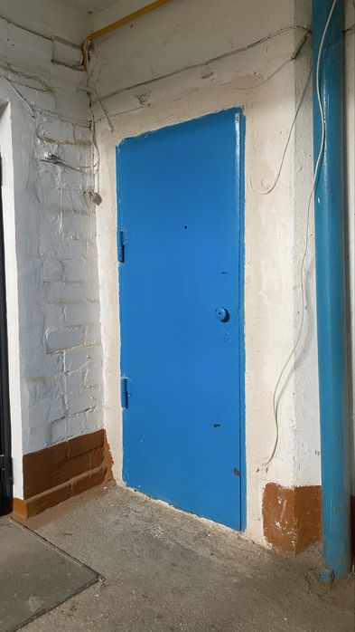 Входной дверь железный