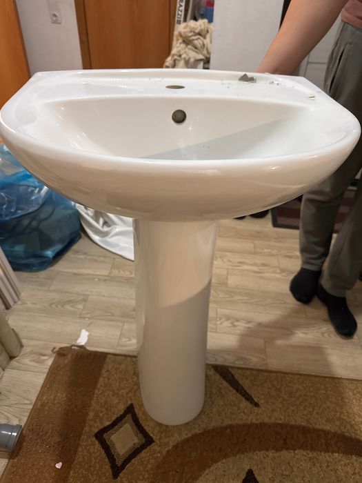 Раковина тюльпан