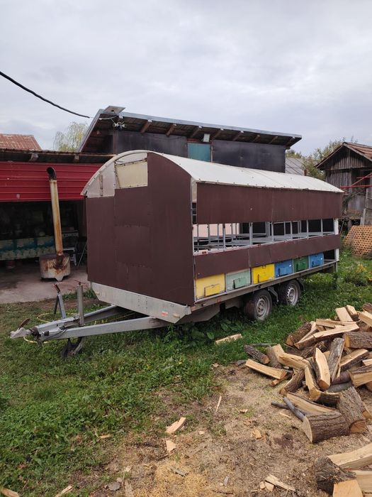 Pavilion apicol 28 familii