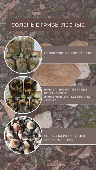 СОЛЁНЫЕ ЛЕСНЫЕ ГРИБЫ  Домашние, отборные, ароматные!