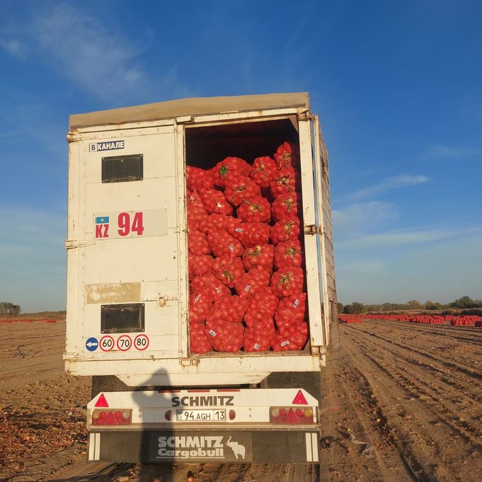 Прицеп иномарка евро