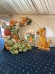 Arcade baloane, Aranjamente din baloane, Decor baloane,decor eveniment