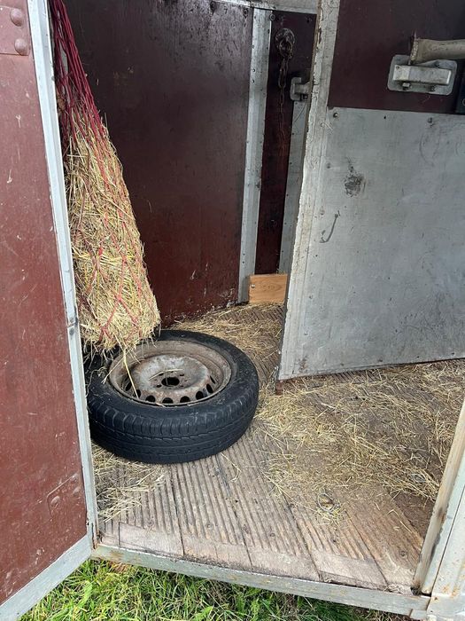 Remorca de cai/remorca transport animale vand