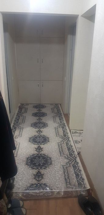 3 xonali yulni yuzida