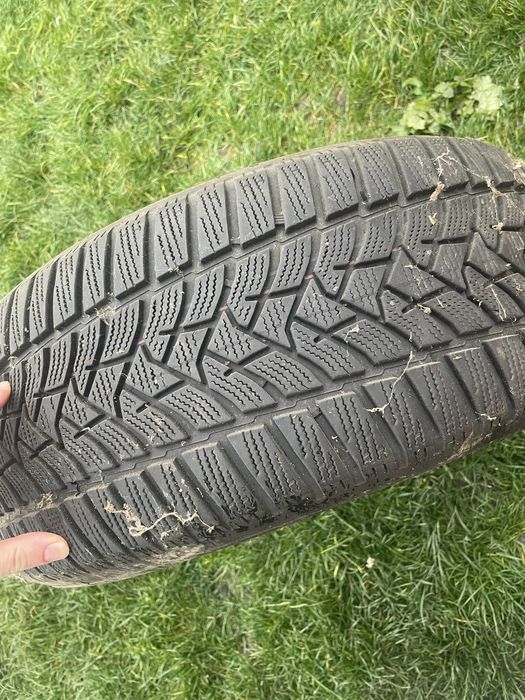 Dunlop winter sport 5 225 55 16