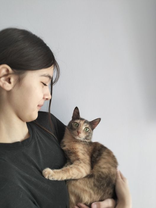 Кошечку в добрые Руки.