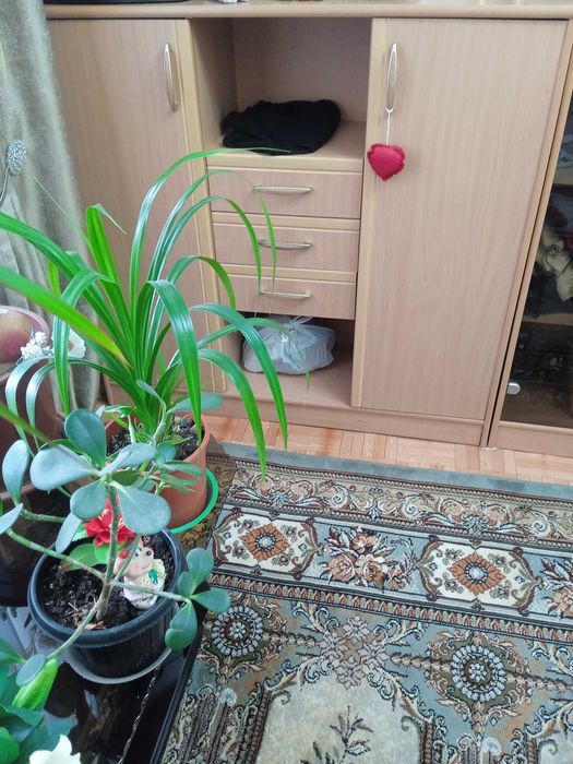 2 ве детские гарнитуры