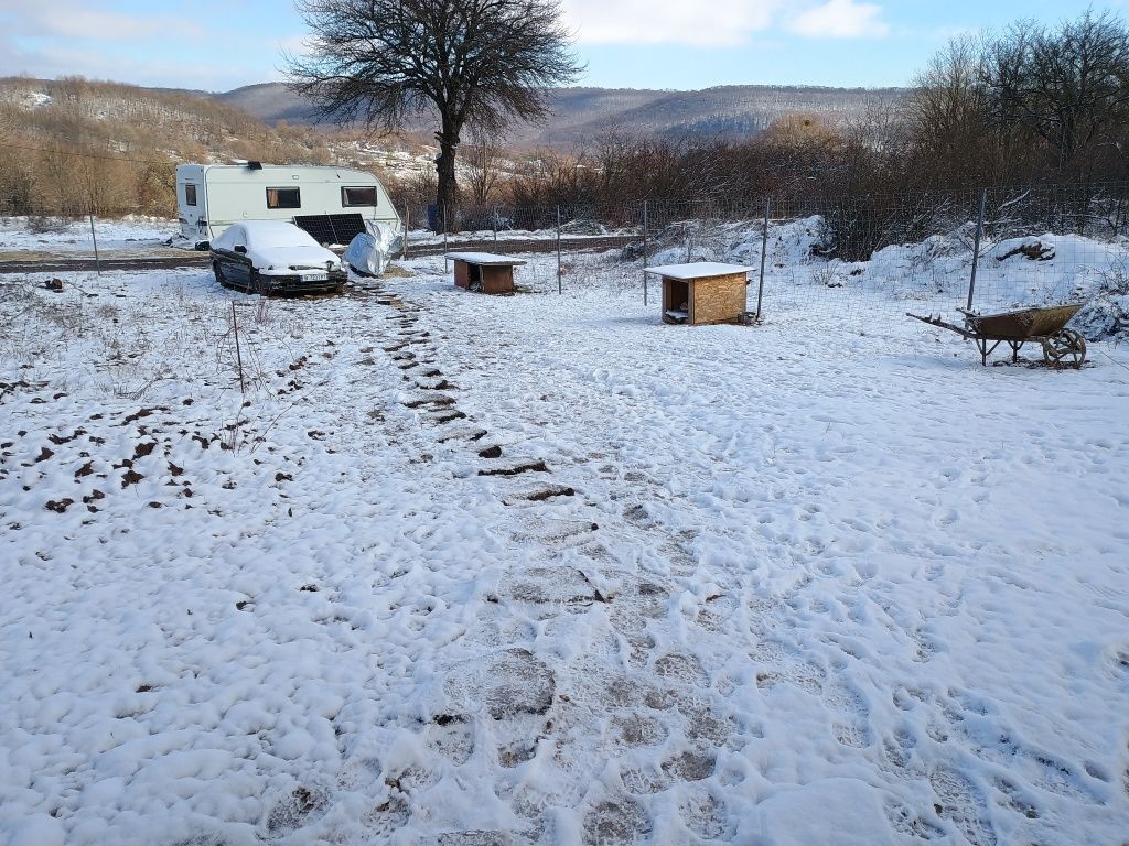Продава се Парцел в с. Долище, Област Варна - 1001 кв.м за 45 €/кв.м - Снимка #7