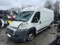 Dezmembrari Fiat Ducato 2.3D, an 2008 F1AE0481D