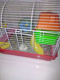 Hamster pitic de culoarea gri
